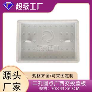漏水孔2孔盖板模具防滑盲点圆点盖板塑料模具广西交投盖板模具