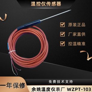 103余姚温度仪表厂铂热电阻高精度针式 WZPT 探头不锈钢温度传感器
