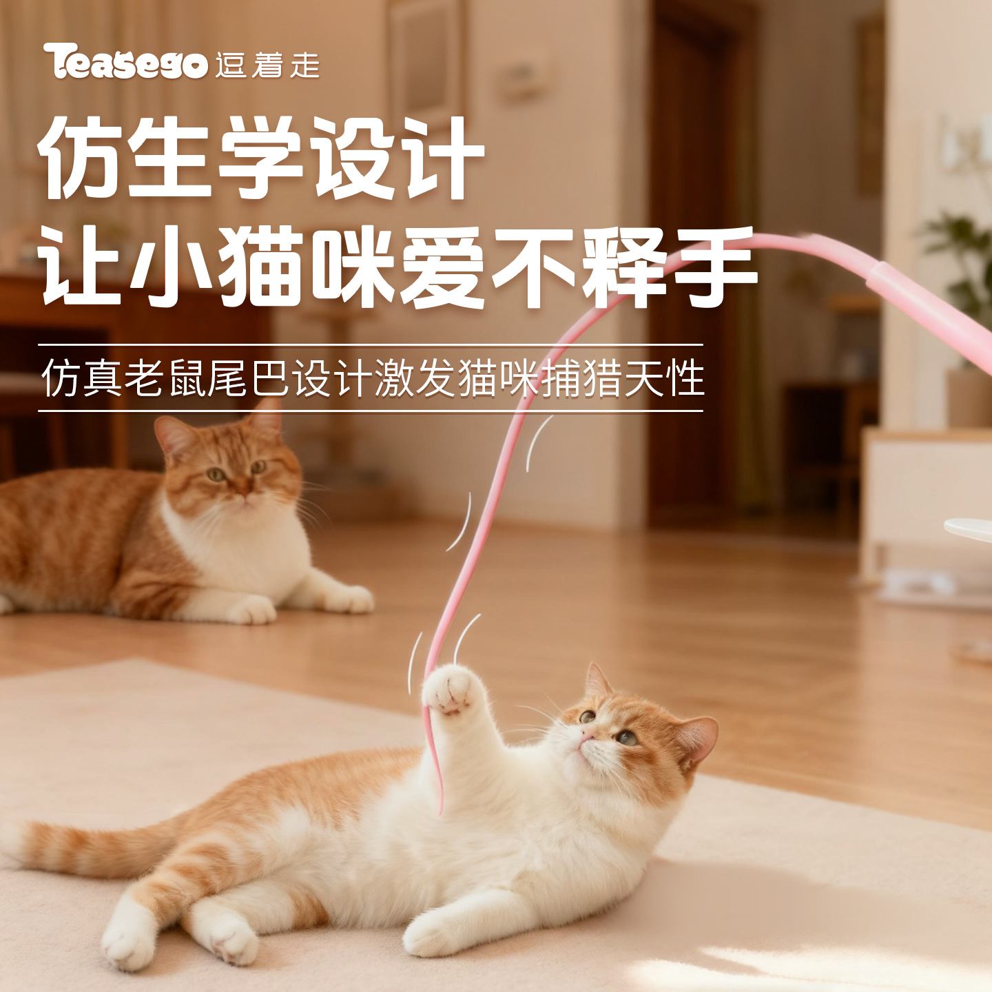 猫猫玩具逗猫棒耐抓咬小猫逗猫杆