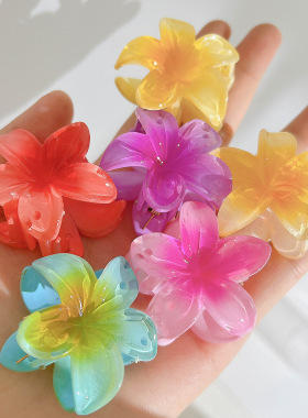 Women Hair Clips Tools Hairpin Clamps发饰鸡蛋花抓夹花朵发抓