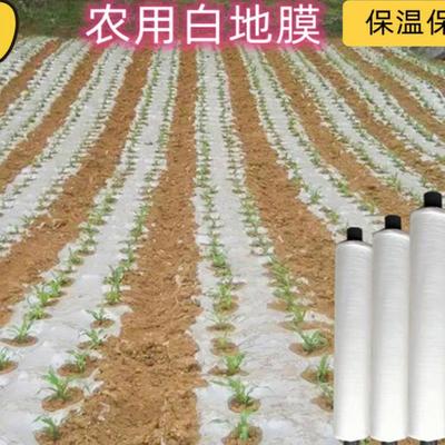 黑白色地膜农用种植保温保湿胶纸塑料薄膜大棚蔬菜果树园建筑护路