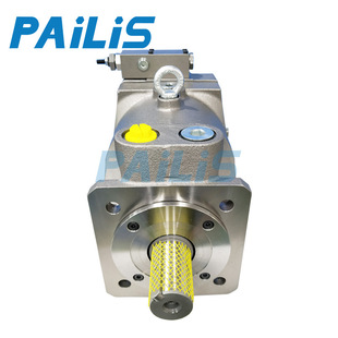 C02派力士油泵 2R1D 派力士柱塞泵批发 现货销售PV20