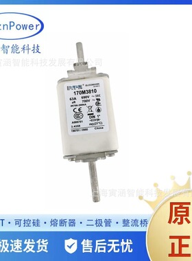 半导体保护熔断器170M3810 170M3810D 170M3811D全新特种保险丝