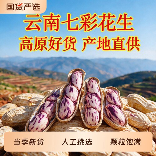 今年的2026年新花生米优质精品七彩花生新货云南晒干保存油炸