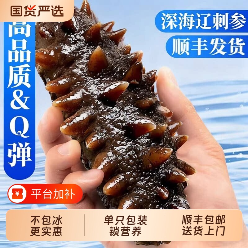 大连即食海参鲜活辽刺参加工鲜食500g独立真空包装顺丰包邮