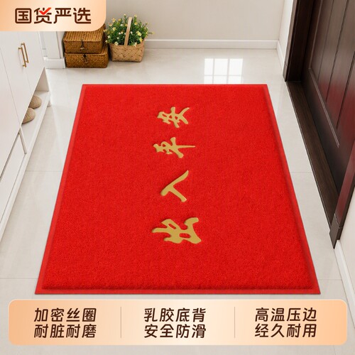 丝圈进门地毯地垫入户门垫进门红色喜庆门口门垫家用免洗防滑垫子