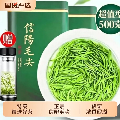 信阳毛尖2026新茶高山嫩芽500g浓香型散装春茶叶炒青绿茶特级明前
