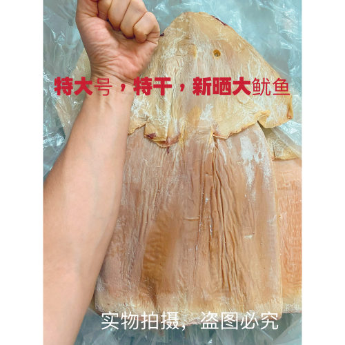 特大号淡干特级鱿鱼干煲汤爆炒
