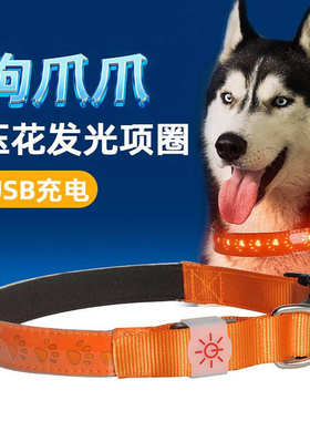 新品LED发光项圈 舒适狗项圈 橙色宠物充电LED闪光皮革压花项圈