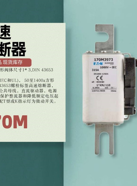 170M3973 bussmann通讯行业 高速熔断器1000V 1400A T型指示灯