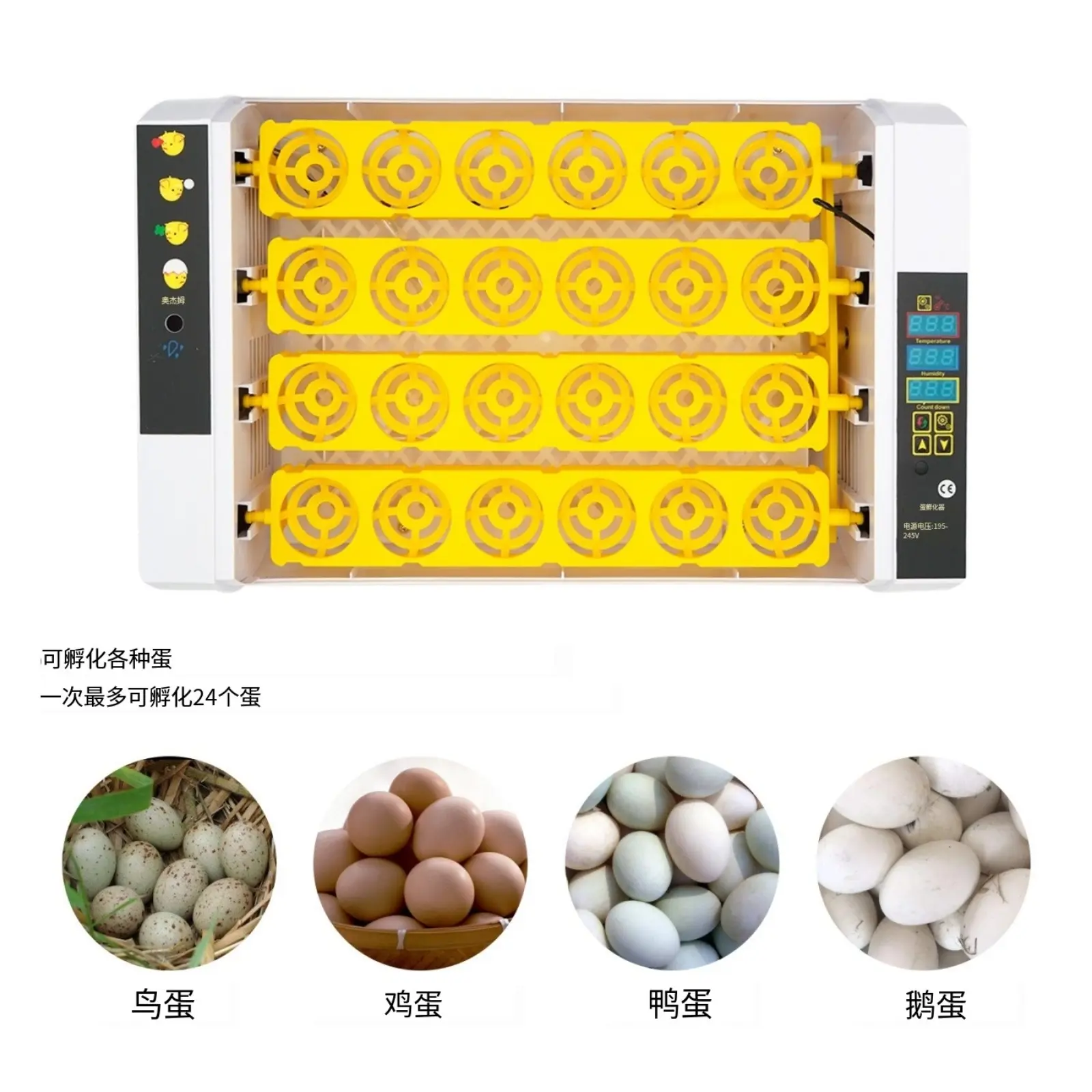 孵化器家用智能小鸡养殖孵化设备24枚鸡蛋家禽孵化机鸟类孵蛋器,电子元器件市场,其它元器件,淘宝优惠券,粉丝福利购,淘宝优惠卷