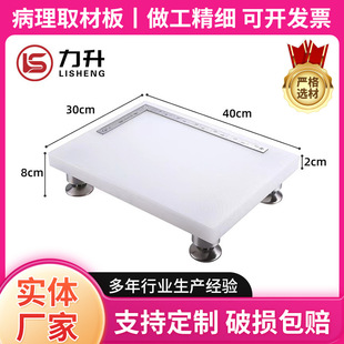 金华力升病理取材板 病理取材组织取样台 实验室取样台 塑料板