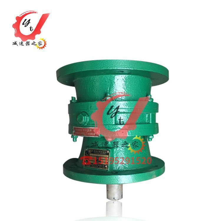 江苏泰兴泰星牌泰隆牌立式摆线针轮减速机BLK9185A