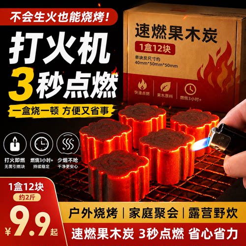 速燃炭烧烤碳无烟果木炭专用易燃家用户外竹炭块围炉煮茶引火木炭