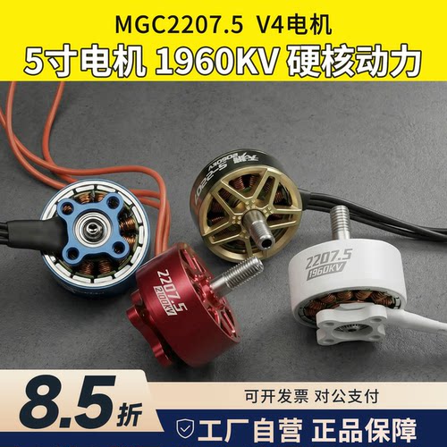 BlitzTig闪电虎2207.5V46S5寸