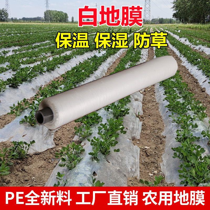 黑白色地膜农用种植保温保湿胶纸塑料薄膜大棚蔬菜果树园建筑护路