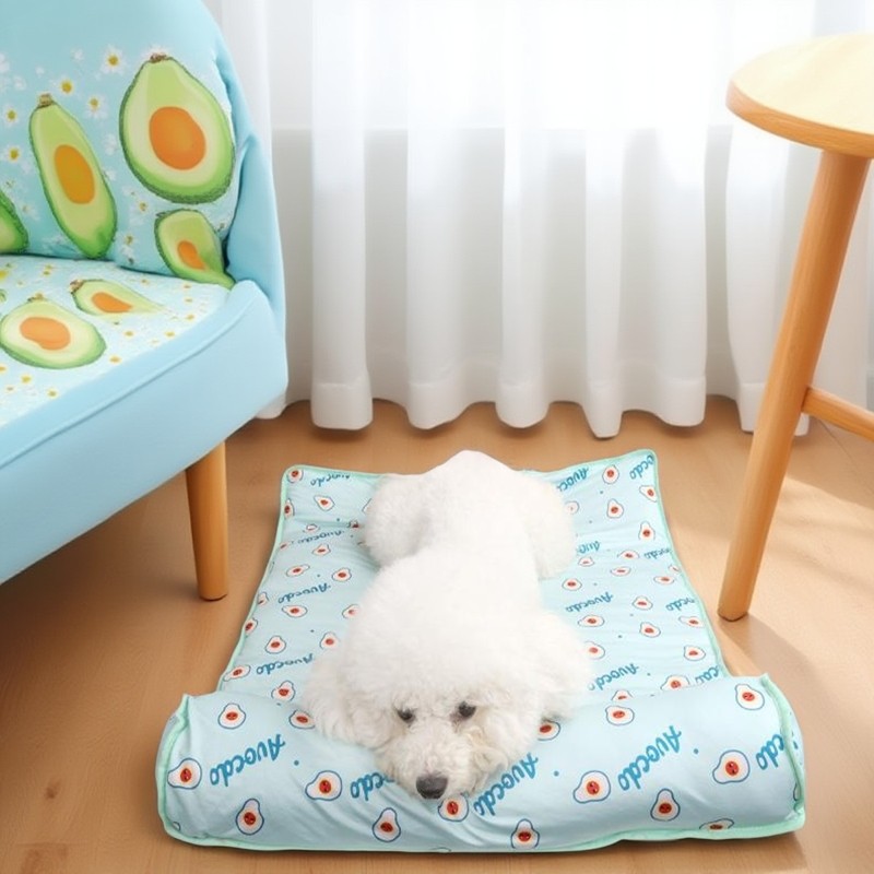 猫咪狗狗凉席凉垫夏天睡觉降温防暑猫垫子宠物用品凉窝冰窝冰丝垫,宠物/宠物食品及用品,猫狗垫子,淘宝优惠券,粉丝福利购,淘宝优惠卷