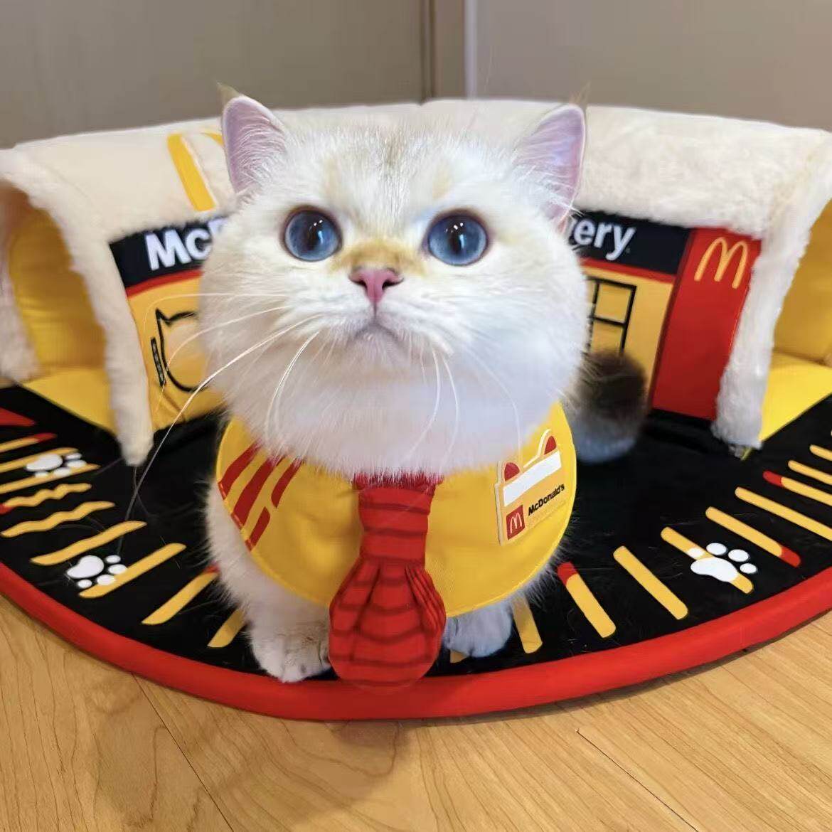 猫猫小狗项圈围脖围兜个性拍照装饰宠物口水巾三角巾猫咪领结领带
