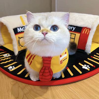 猫狗口水巾围脖围兜宠物领结领带