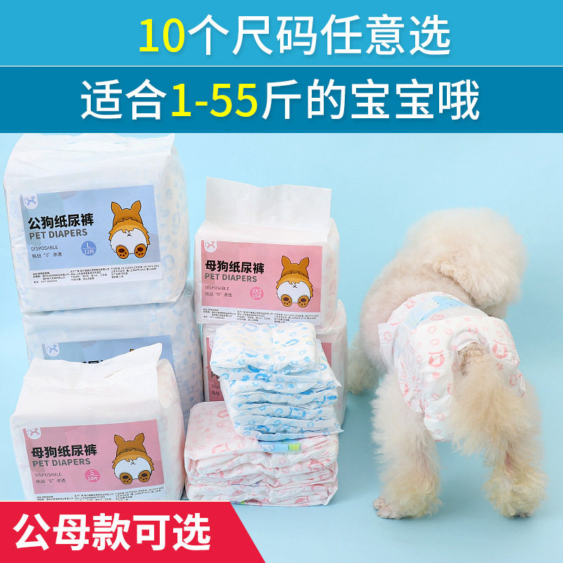 公狗生理裤宠物用卫生巾狗纸尿裤