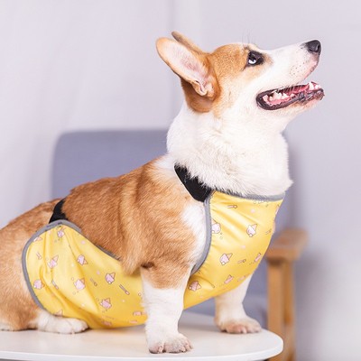 狗狗肚兜柯基犬护肚子防着凉衣服