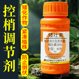 矮壮素花卉专用水仙花菊花蔬菜多肉植物控梢调节剂国光抑灵控旺药