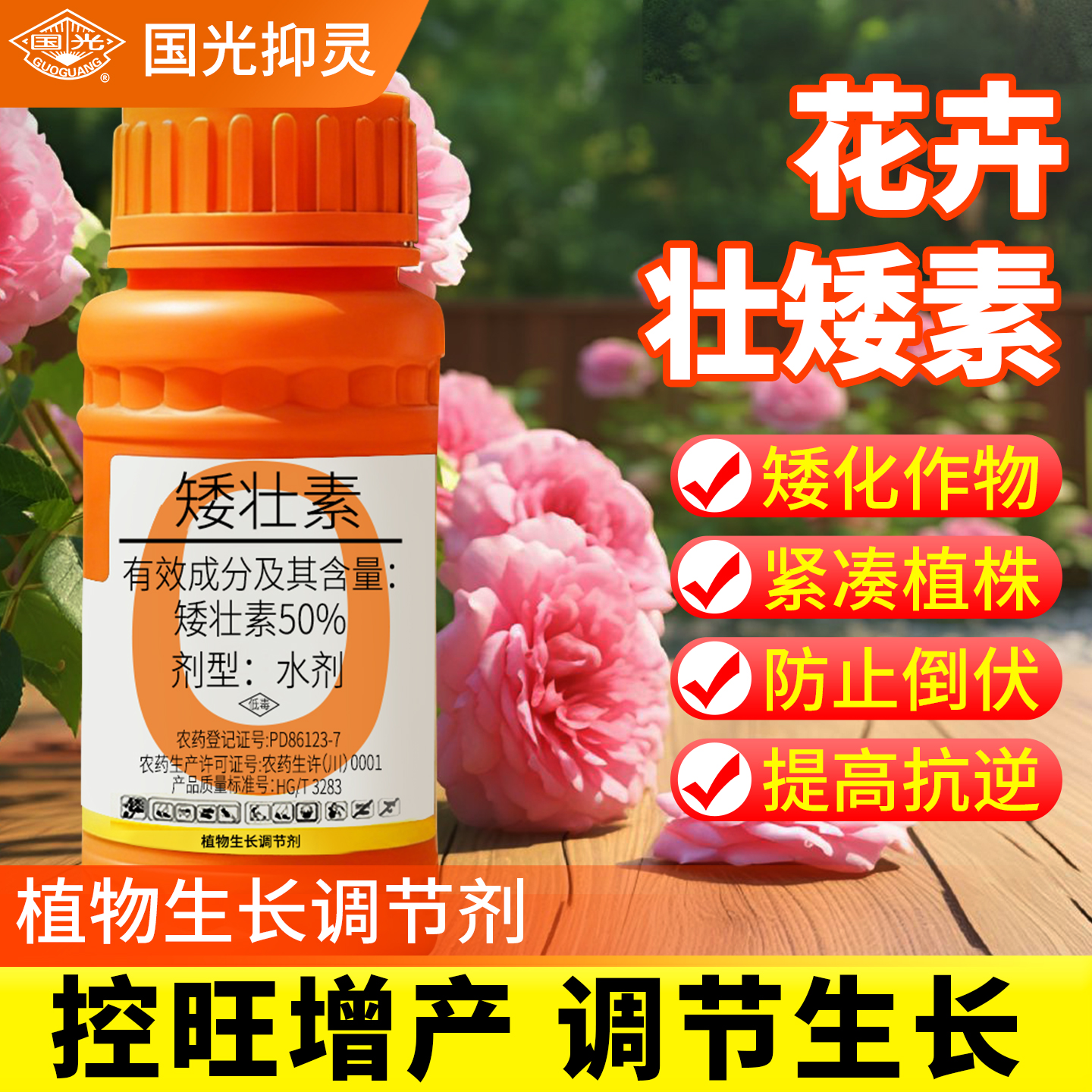 【花卉专用水仙】国光抑灵矮壮素