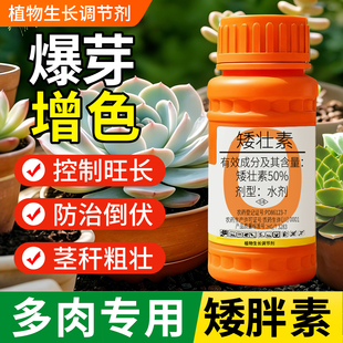多肉专用矮胖素爆芽增色国光抑灵矮壮素花卉专用水仙菊花蔬菜油菜