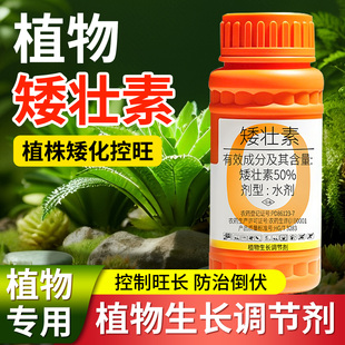 植物矮壮素国光抑灵水仙蔬菜菊花油菜控梢调节剂多肉专用矮胖素