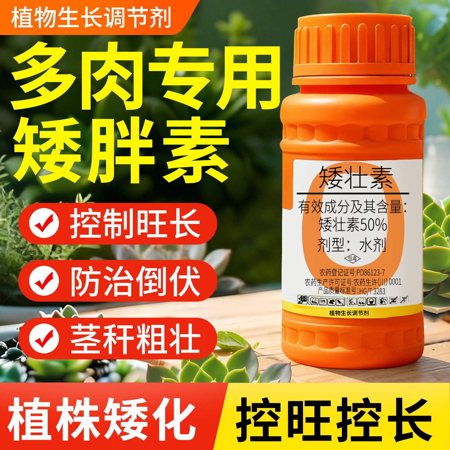 【多肉3天快速促矮化】