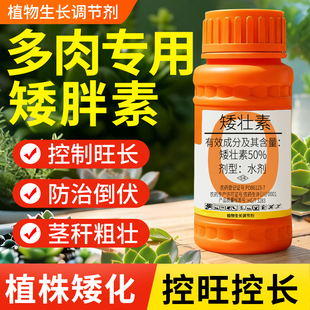 多肉专用矮胖素矮壮素花卉专用植物矮壮剂控旺调壮素国光抑灵农药