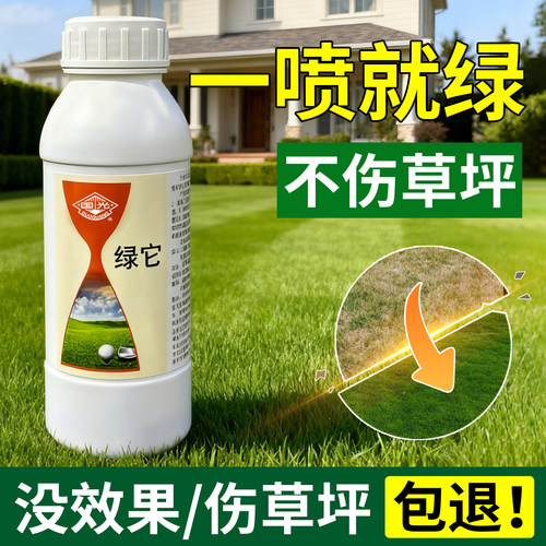 【一喷就绿不伤草坪】国光增绿剂