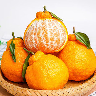 四川不知火丑橘 【JD/SF多地次日达】新鲜水果礼盒