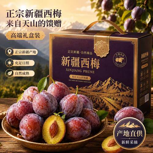 正宗新疆喀什西梅新鲜空运大西梅孕妇宝宝水果西梅整箱礼盒