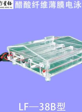 龙方星钰LF-38B醋酸纤维薄膜电泳槽载玻片电泳、血清血红蛋白电泳