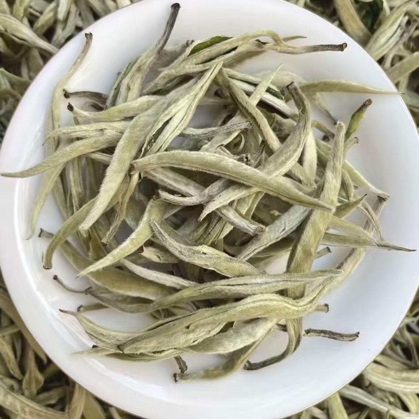 云南特级白毫银针嫩芽白茶