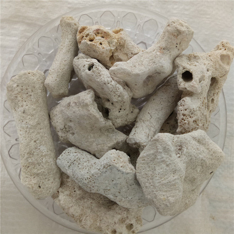 珊瑚骨   珊瑚石 底砂碎 珊瑚砂 鱼缸滤材