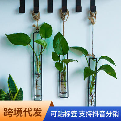 创意铁艺玻璃花瓶麻绳挂件客厅墙上壁挂水培绿萝植物容器悬挂壁饰