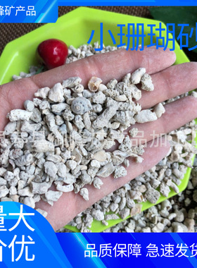 大量现货供应珊瑚骨颗粒水族造景过滤小珊瑚砂优质滤材各种规格