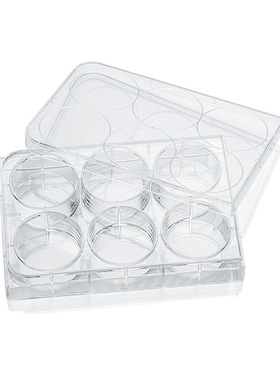 LABSELECT(甄选)11118 6孔细胞培养板(超低吸附)