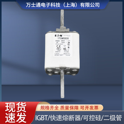 全新熔断器170M5808D 170M5809D 170M5810D/5811D/5812D/5813D