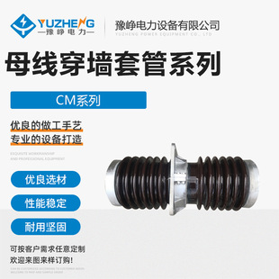 330 180 CMWW CMW 高压母线穿墙套管CMW