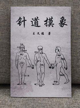 实用中医针灸疗法书籍 针道摸象 临床针灸工作经验集成32开复印本