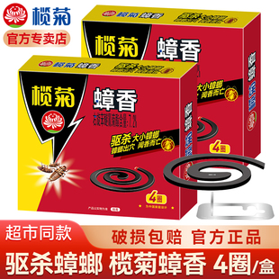 榄菊蟑螂香灭蟑螂药家用烟熏去蟑螂蚊香一驱杀赶窝端全烟雾剂蟑香