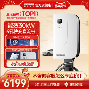 能效380v直流快充充电桩9孔30kW红旗eqm5新能源汽车商用共享HQ30