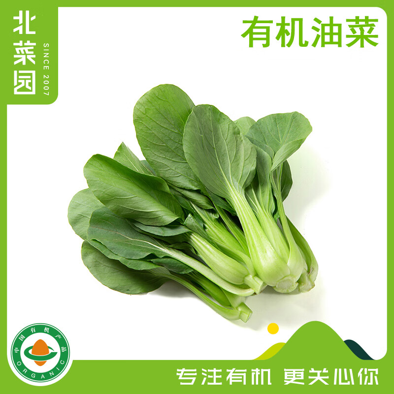 北菜园有机油菜250g/份（上海青）鲜嫩新鲜小叶菜小油菜火锅食材