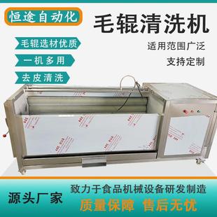 清洗快门店可用红薯芥菜毛辊清洗设备多功能根茎类药材清洗机厂家