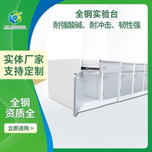 全钢实验台实验室工作台实验桌钢木中央台化学试验台全钢实验台