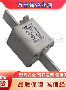 170M5738 170M5739 170M5740 170M5741 170M5742 170M5743熔断器