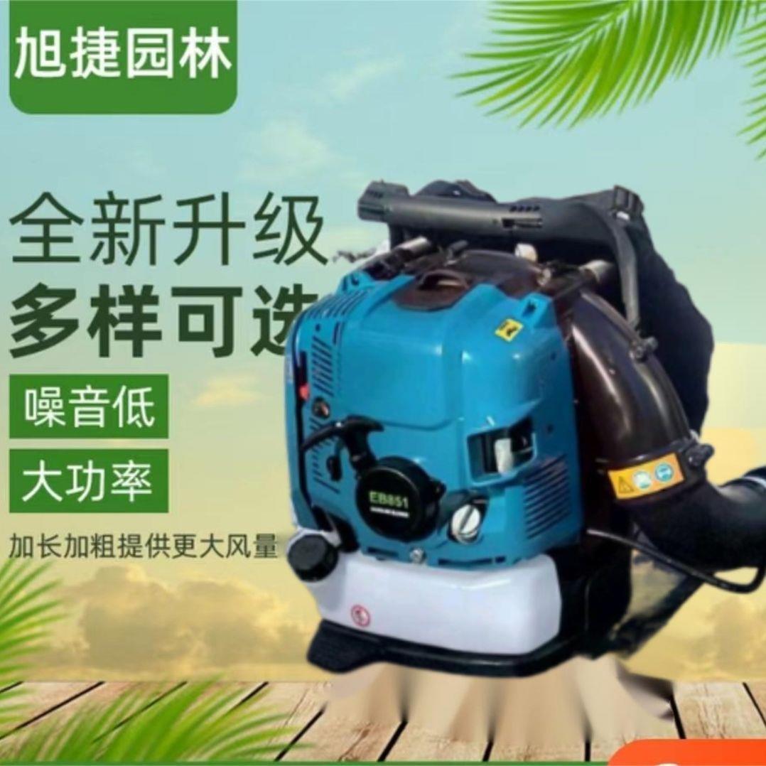 厂家货源大棚吹雪机背负式吹风机风力灭火机园林落叶除尘器吹风机